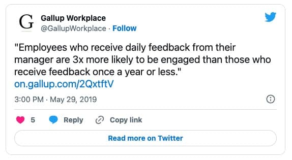 Gallup Daily Feedback Quote Gallup Daily Feedback Quote