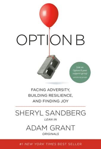 Option B Book Cover
